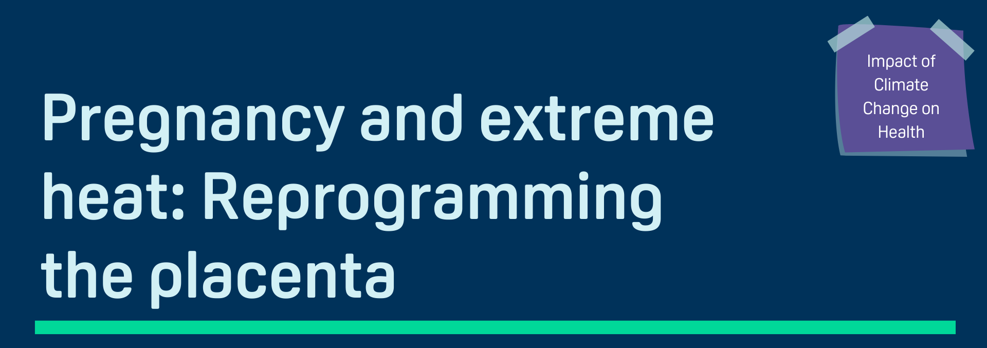 Title: Pregnancy and extreme heat: reprogramming the placenta (impact of climate change on health)