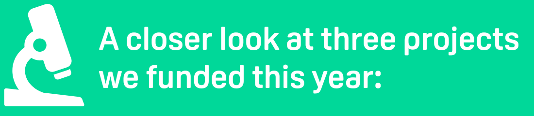 Title: A closer look at three projects we funded this year:
