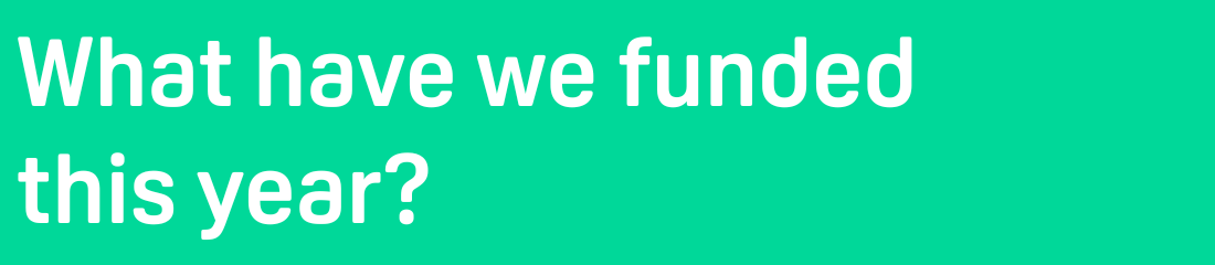 Title: What have we funded this year?