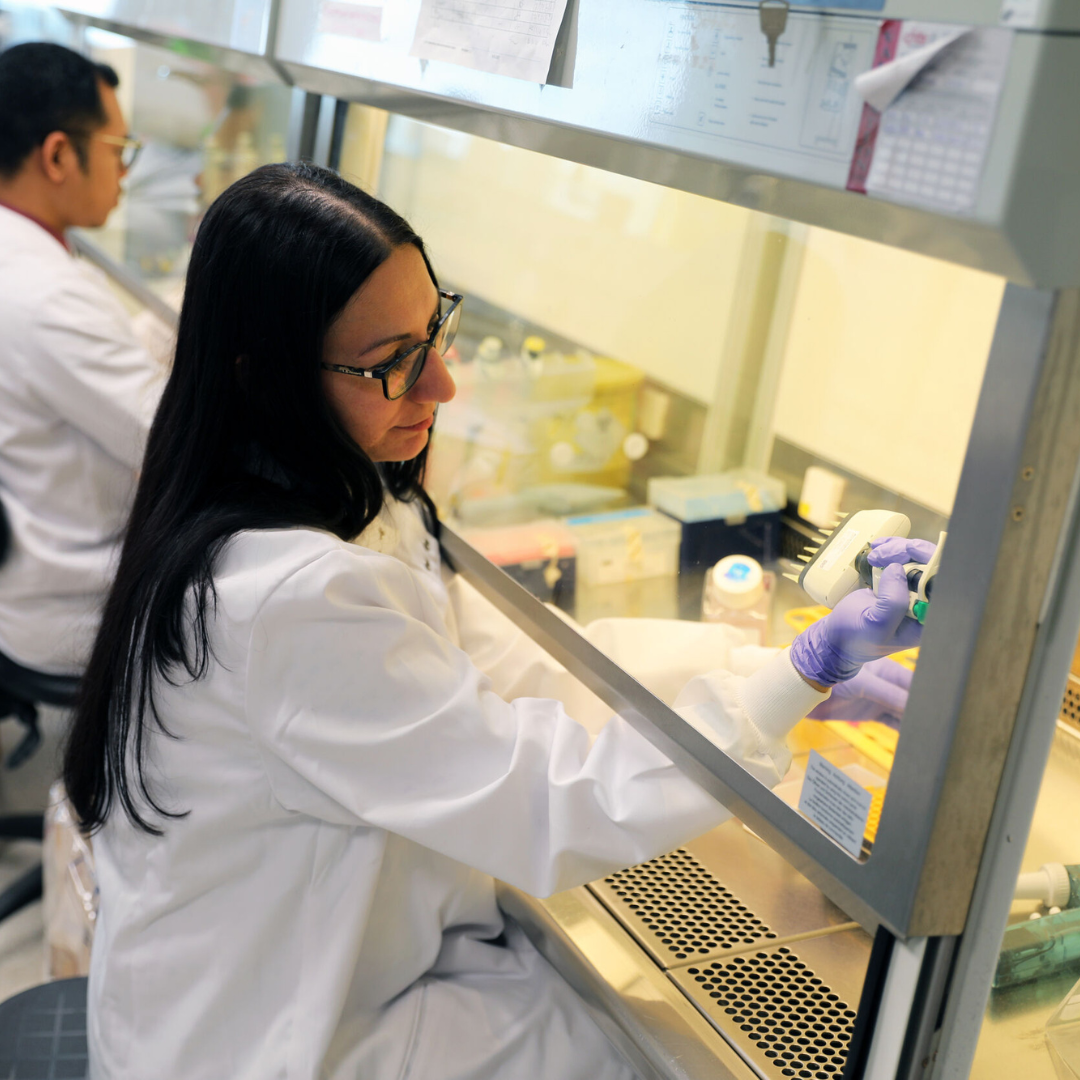 A scientist conducts experiments